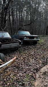 Some good looking projects stashed away deep in the woods. #nova #chevyII #projects #backwoods | David Newbern