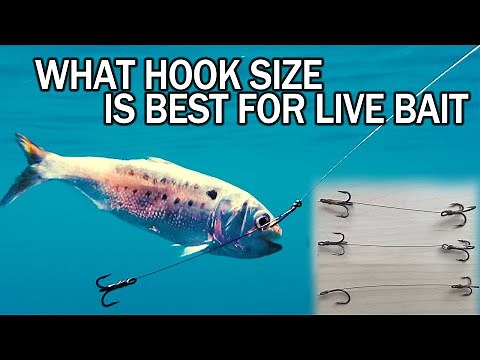 Comparing Different Hook Sizes on Bait | Underwater Hook Test |