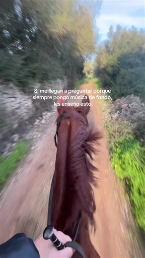 Funny Horse Moments That Will Make You Laugh