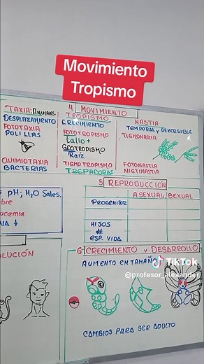 Entendiendo el Tropismo en las Plantas