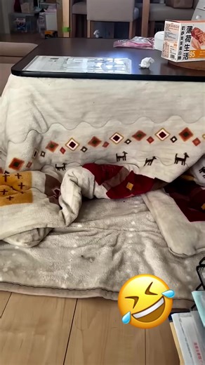 Funny Cat & Dog Voiceover | Pet TikTok Compilation