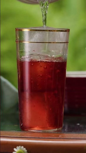 Americano Cocktail Recipe — the Negroni’s easy-going sibling. 1800s Italy meets BC’s coastline 🤝