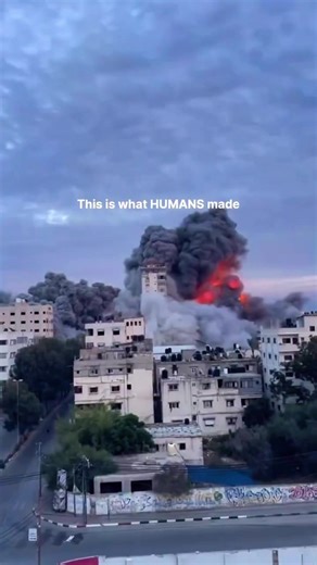 The Beauty of Allah's Creation