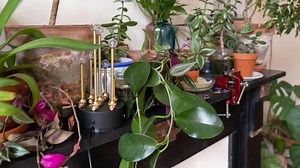 Raspberry Pi-Powered Lamp Reacts to Local Air Quality #Raspberrypi