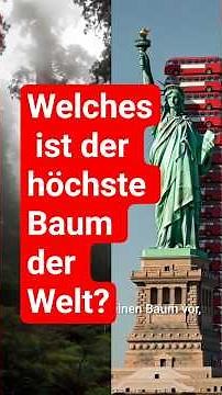Which is the tallest tree in the world?