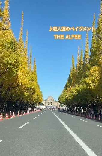 走れ！歌謡曲「THE ALFEE 恋人達のペイヴメント」 #走れ歌謡曲 #music #al中 #神宮外苑