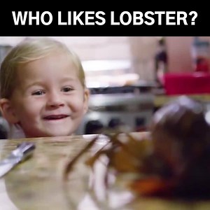 372 reactions · 91 shares | Overnight Lobster Delivery Direct to Your Door! Surprise your family with these crowd-favorites fresh and juicy lobster tails! 咽 Don't miss this 퐋퐢퐦퐢퐭퐞퐝 퐓퐢퐦퐞 퐎퐟퐟퐞퐫 Order 7 Lobster Tails now and 퐆퐞퐭 ퟕ 퐅퐑퐄퐄! | Get Maine Lobster | Facebook