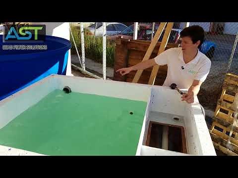 AST FIT 400: Powerful PolyGeyser Backwash Demonstration