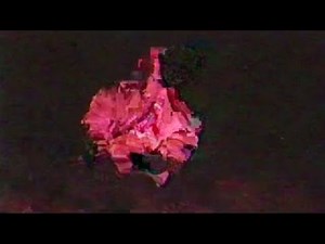 Hi-c - No Emotionzzz (Official Video)