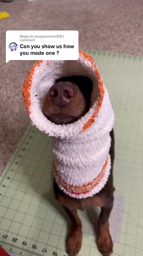 DIY Dog Ski Mask Tutorial Using a Sock | How to Make a Dog Hat
