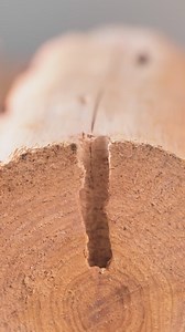 196K views · 705 reactions | Organize Your Garage with These Brilliant Hacks!  | Handmade Heroes | Facebook