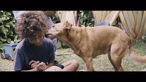 Confira o making of da nova campanha de Bravecto, criação da @havas_health, com direção da @kittibertazzifilmes, que contou com uma equipe afiada, um casting talentoso e astros peludos adoráveis! 🐶🌟🐱 | O2 Filmes