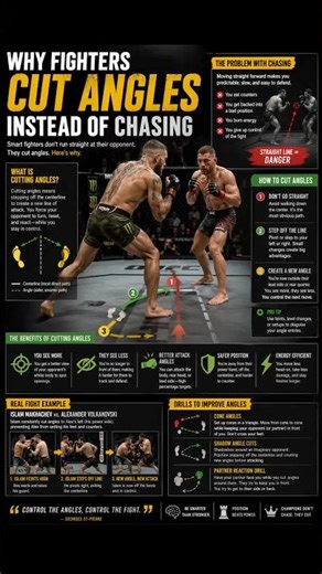 Why Fighters Cut Angles Instead of Chasing