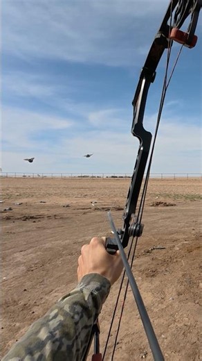 Archery hunting flying pigeons!