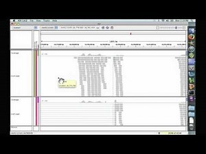 Analyzing Public Datasets 7: An Introduction to IGV (genomic)