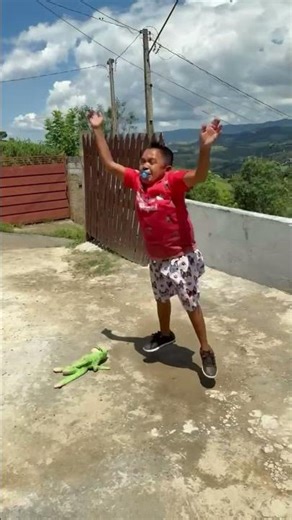 Child leaves pinscher angry