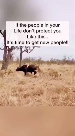 2M views · 41K reactions | Check your cycle | True Lubby | Facebook