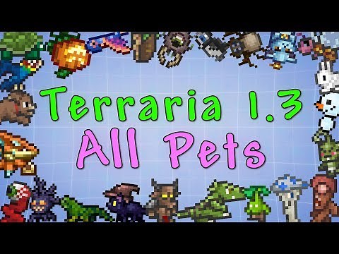 Terraria 1.3 - All Pets!