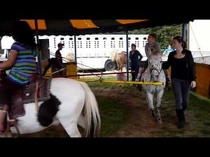 carousel ponies