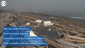 4.7K views · 29 reactions | New Jersey is the newest battleground in the war against plastic pollution. The state is considering whether to adopt the strictest plastic ban in the nation. | KCCI | Facebook