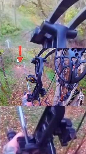 Magnificent shot of White tail deer Hunting Big moose#challenge hunting#hogger #watched