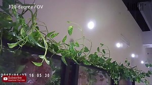 10K views · 116 reactions | 朗朗朗朗朗朗  4.99  4.99  4.99  4.99  4.99  MINI TELECAMERA CON SUPPORTO USB AL PREZZO PAZZO  4.99  4.99  | Luigi Murciano Biancheria | Facebook