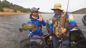 What's the Tackle World difference? All our stores are independently owned and operated by Aussie angling families. Our owners and pro staff are experts in their fisheries to help you get the right product for your species every time. We've got you covered.🤩🙌🐟 | Tackle World Australia