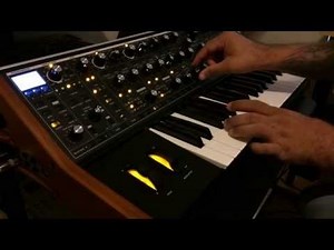 Moog Sub 37 First Test (with Light Show!)