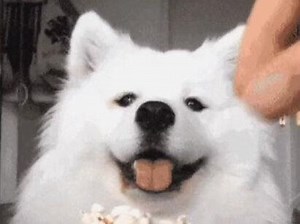 artbreeder捏脸教程