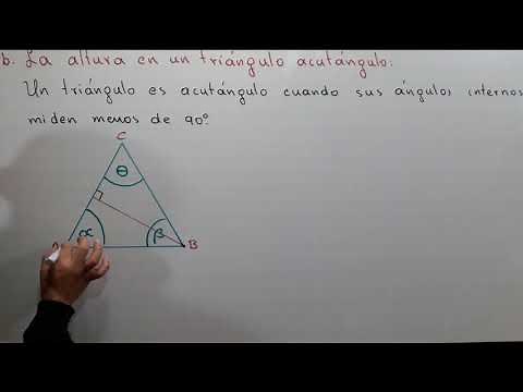 2.La altura en un triàngulo acutángulo