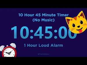 10 Hour 45 minute Timer Countdown (No Music) + 1 Hour Loud Alarm