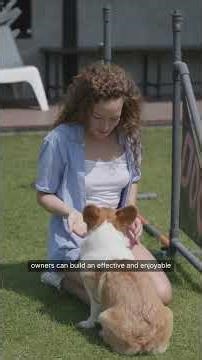 Dog Conquers DIY Agility Course 🏅🐕