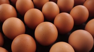 Exception from the rule concept. Camera quickly slides over many brown eggs to settle over a white shell egg. Stand out from the crowd, individuality and difference concept. Close up, shallow depth.