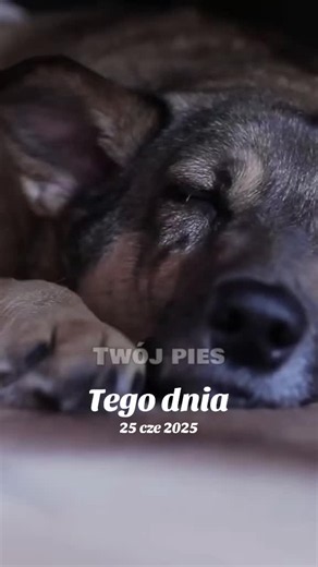 #tegodnia