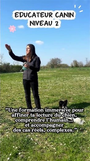 Nouvelle formation: Educateur canin niveau 2 ^^