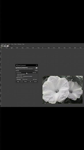 HOW TO CONVERT IMAGE TO BLACK WHITE IN GIMP FOR FREE SHORT