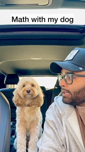 Luna The Mini Cockapoo on Instagram: "Her thinking face after each one 😳 #dogs #puppylove #minicockapoo"