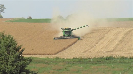 Along Trestle Dr Lewiston MN | Southeastern Minnesota photography. Farms,Nature,Landscapes
