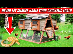 Protect Your Chickens! Best Ways to Keep Snakes Away from Your Coop