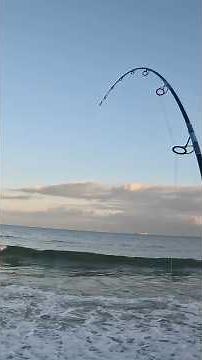Custom Rod Catches PB Striped Bass with a Pencil Popper!!