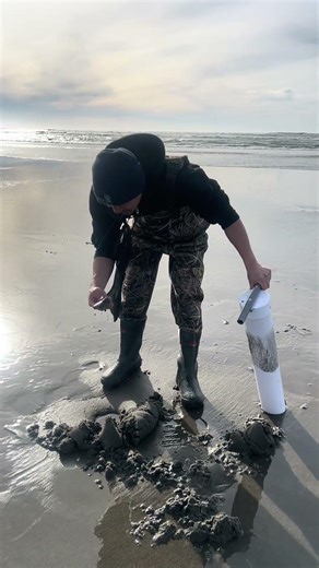 Razor clams PNW