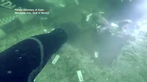 355K views · 1K reactions | A 7,000-year-old Native American burial...