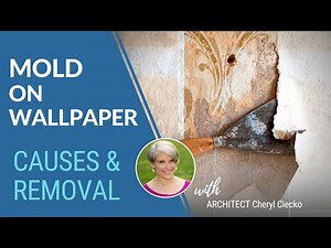 Moldy Wallpaper: How It Happens & Removal Safety EPISODE 21 Building Well & Preventing Mold