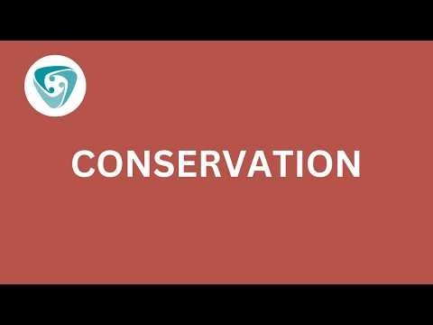 Conservation Webinar - Vernon CMS 12.5.1