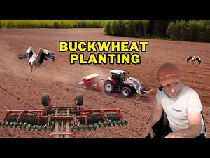 🌾 Planting Buckwheat – The Last Money Crop of Spring! 🌾