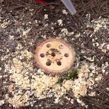 5-Minute Crafts on Reels