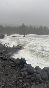 79K views · 1.5K reactions | Near peak high tide here at north shore! Live in the comments again! | Washington Weather Chasers | Facebook
