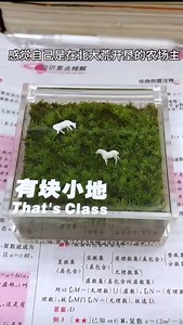 𝑸𝑸𝒃𝒆𝒂𝒓𝟏𝟖 選物店♡快樂販賣部 on Instagram: "#懶人綠植解壓景觀草地🌿 小小年紀，先擁有一塊地！這我可買得起🙋🏼‍♀️ 壓力大的時候就盯著這片綠，療癒指數💯💚 課本再多，工作再多！也要有塊草坪喘口氣🌱😌 尺寸：小 （8*8*4cm) / 大(10*10*6cm) 規格：懶人綠植解壓景觀草地套組（附兩隻綿羊🐑+噴水壺） 下單方式🛒 ➡️留言：+1 小編馬上回覆你下單資訊💞 商品為預購為14-24天🫶 有任何問題 歡迎小盒子詢問🙋 #氛圍感 #拍照 #好朋友 #驚喜 #小紅書 #可愛 #抖音 #小紅書推薦 #小紅書熱門款 #生日禮物 #禮物 #有趣 #好玩 #閨蜜 #鑰匙圈 #姐妹 #迷因 #玩具 #迷因系列 #朋友 #療癒 #質感 #解壓"