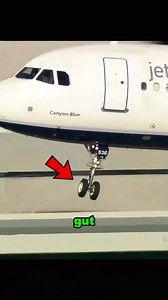 Passengers Watched Their Own Emergency Landing On TV#EmergencyLanding #AviationTok #PilotSkill #PlaneLanding #FlightSafety #AviationHistory #Airplane #CloseCall