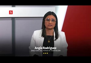 Hoy Angie Rodriguez - actual gerente del Fondo Adaptación y ex directora del DAPRE - le deja claro al gobierno que no tiene intención de suicidarse. Excelente ambiente laboral.